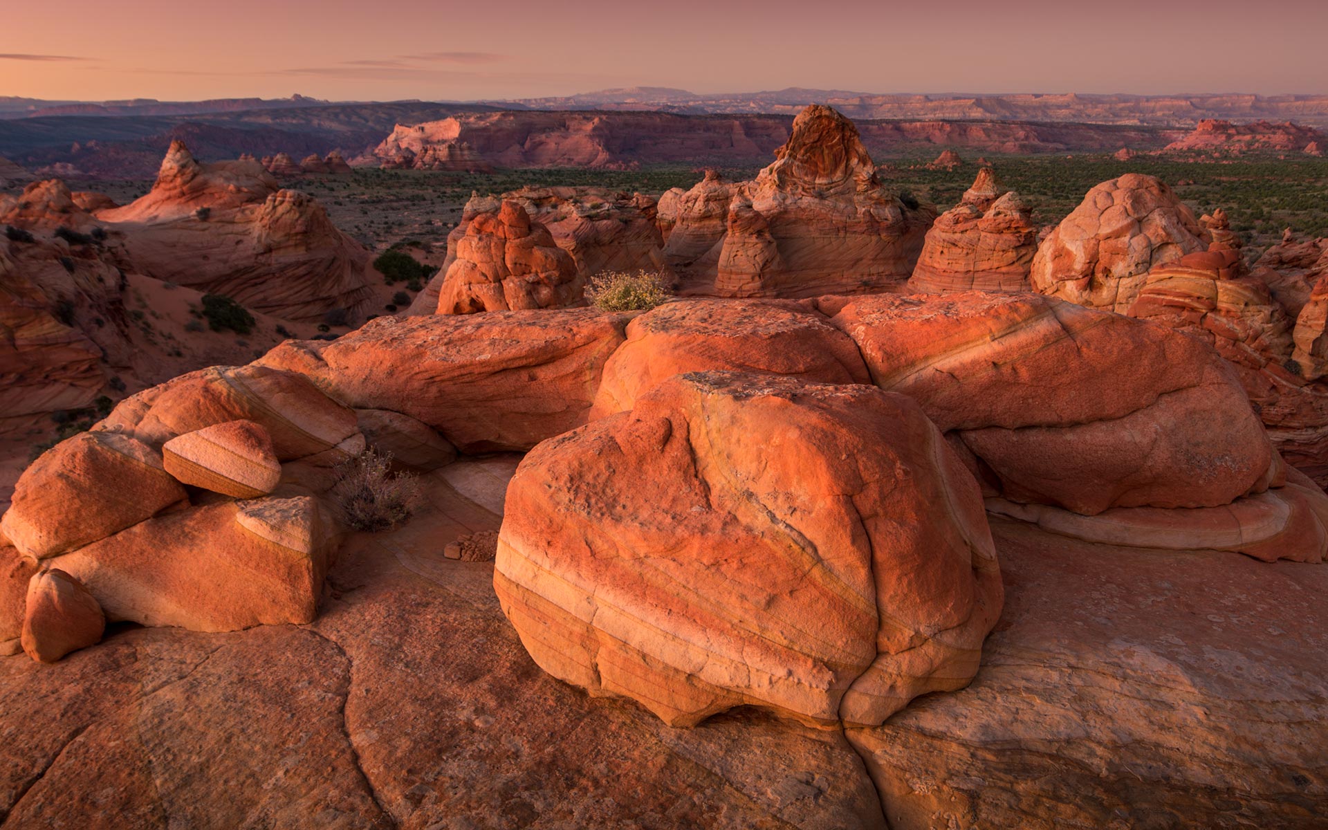 South Coyote Buttes, Arizona