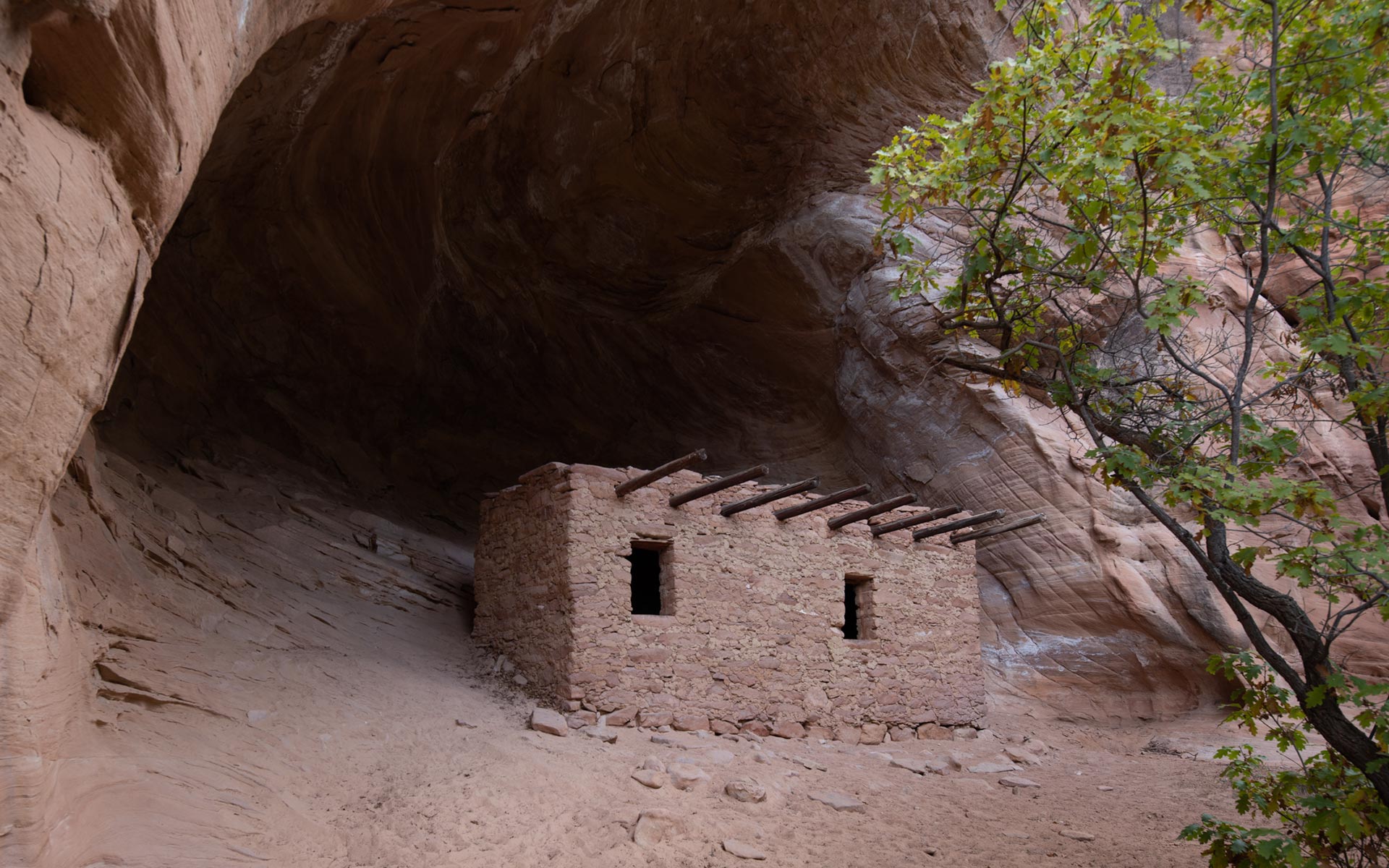 Doll House Ruin, Cedar Mesa